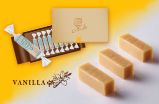 横濱生キャラメル（箱）　バニラ　10個